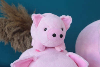 7 Interesting Facts about Peanut The Pig