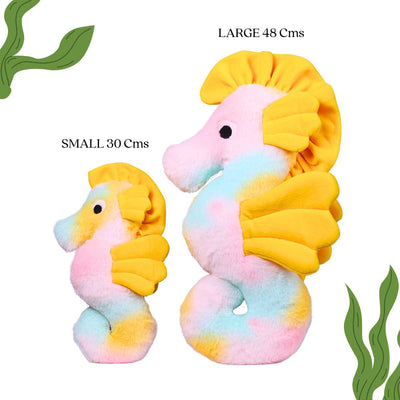 Pixie - The Rainbow Seahorse