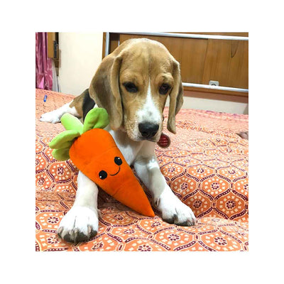 Rolly Polly carrot plush toy for dogs