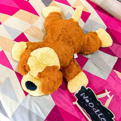 Noodle - The Cuddly Plush Dog (Brown)