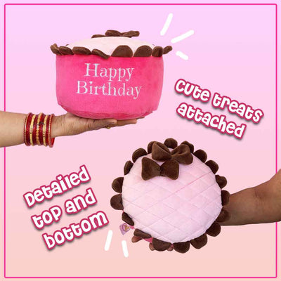 Birthday Cake Round Plush - Pink