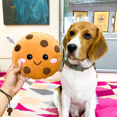 Cookie plush toy for dogs