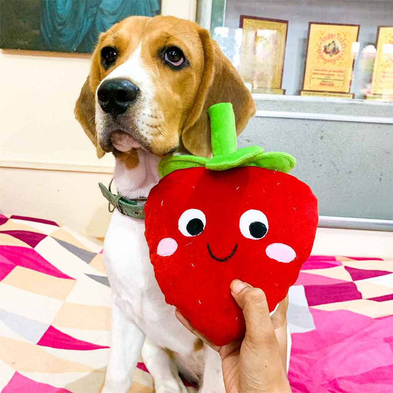 Strawberry plush toy for dogs