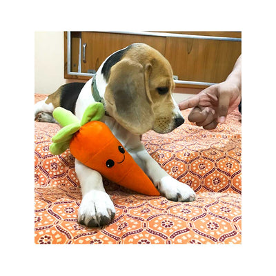 Rolly Polly carrot plush toy for dogs