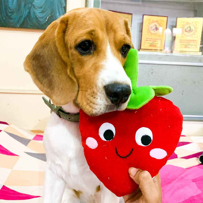 Strawberry plush toy for dogs