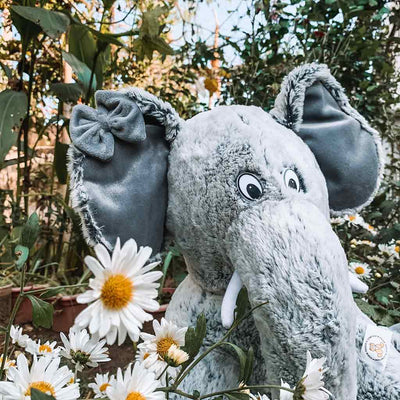 Dumbo - The Elephant