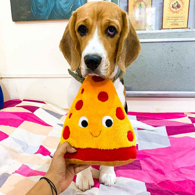 Pizza Slice plush toy for dogs