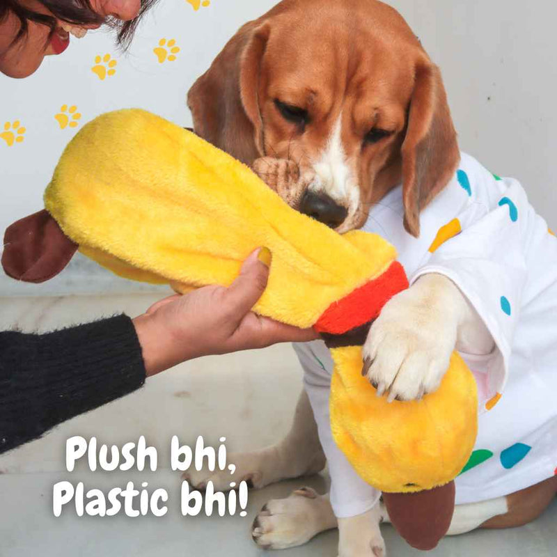 Louie  - duck plush toy for dogs