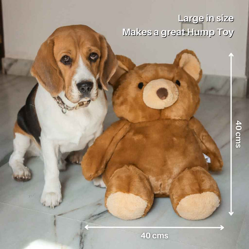 Not-so-ordinary -Teddy Bear plush toy for Dogs